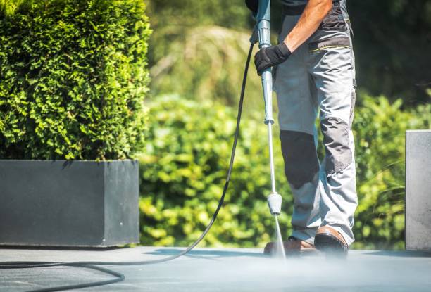 Best Fence Cleaning  in Blue Mound, IL