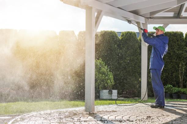 Best Fleet Vehicle Washing  in Blue Mound, IL