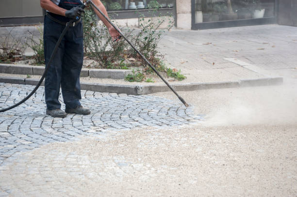Best Sidewalk and Walkway Cleaning  in Blue Mound, IL