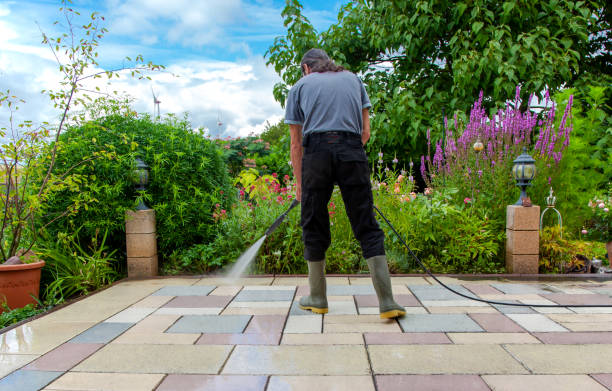 Best Driveway Pressure Washing  in Blue Mound, IL